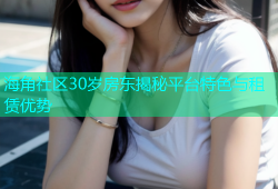 海角社区30岁房东揭秘平台特色与租赁优势