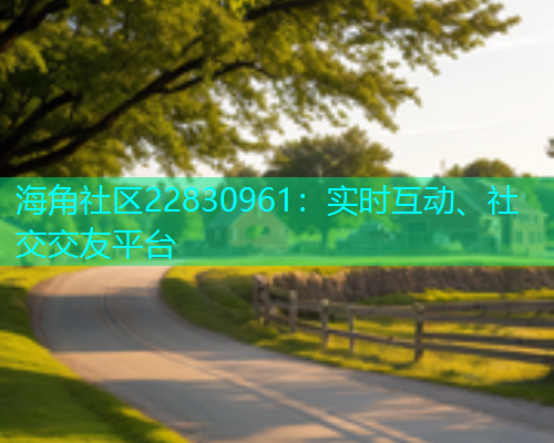 海角社区22830961：实时互动、社交交友平台