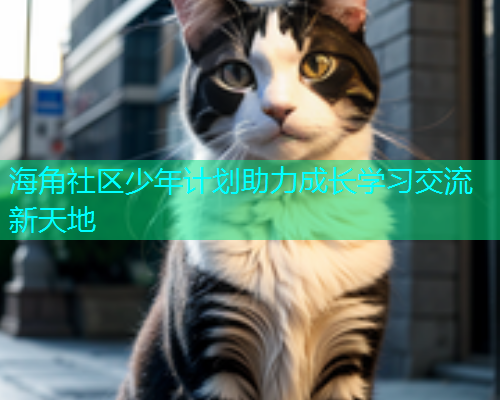 海角社区少年计划助力成长学习交流新天地